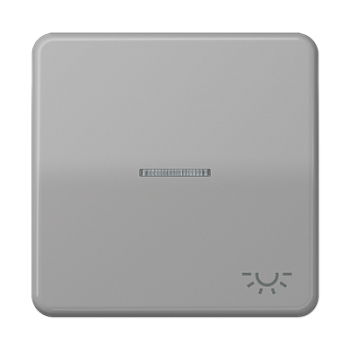 JUNG CD 500/CD plus Серая Клавиша 1-ая с/п с символом ОСВЕЩЕНИЕ CD590KO5LGR