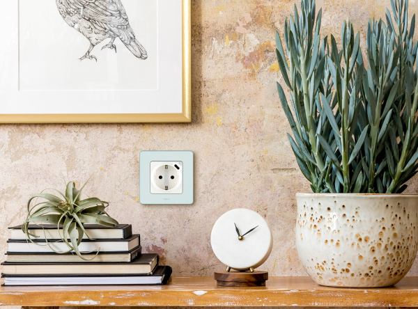 Купить Legrand INSPIRIA Белый Розетка 2К+З немецкий стандарт 16А 250В со встроенным зарядным устройством USB C 1.5А 5В 673770