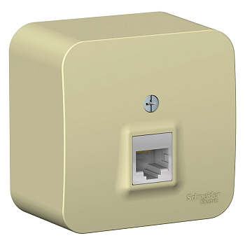 Systeme Electric Blanca наруж Беж Розетка компьютерная RJ45, кат.5E, изолир. пластина