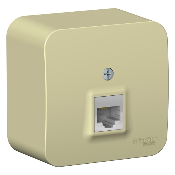 Systeme Electric Blanca наруж Беж Розетка компьютерная RJ45, кат.5E, изолир. пластина