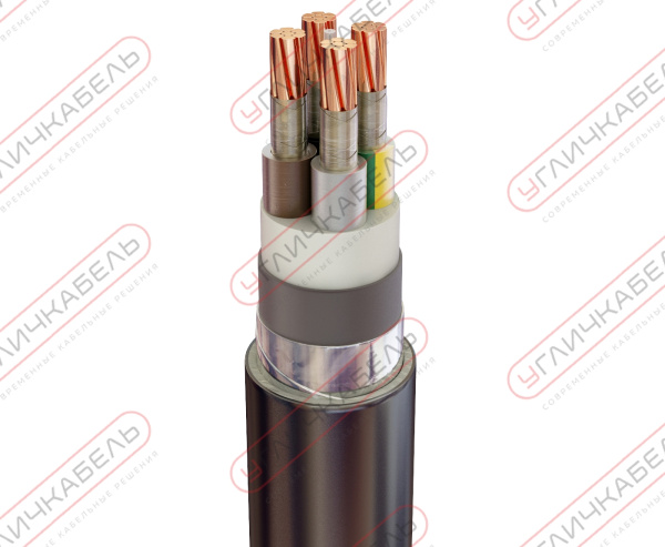 Кабель силовой ПвБПнг(А) -FRHF 4х6 ок(N)-1 Угличкабель PLF16140600110000000