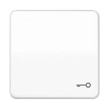 JUNG CD Белая Клавиша 1-ая с символом КЛЮЧ ударопрочная ударопрочная CD590BFTWW