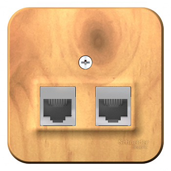 Systeme Electric Blanca наруж Ясень Розетка 2-ая ТЛФ/комп, RJ45+RJ11, кат.5E, изолир. пластина