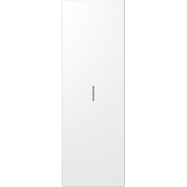 JUNG запасная часть для клавиши, белый (нержавеющая сталь) ES2993KO5WW