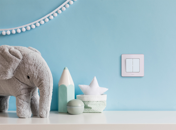 Купить Legrand INSPIRIA Белый Выключатель двухклавишный 10 AX - 250 В 673620