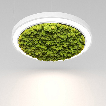 RINGI 50 MOSS S 27W 3000K Ra80 220V IP20 (1-10V) / Светильник LED, 620мм (подвесной) (Briaton) БЕЛЫЙ 006S-27W3K-620WH DIM