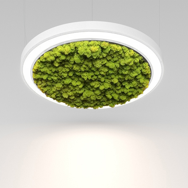 RINGI 50 MOSS S 27W 3000K Ra80 220V IP20 (1-10V) / Светильник LED, 620мм (подвесной) (Briaton) БЕЛЫЙ 006S-27W3K-620WH DIM