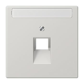 JUNG LS 990 Светло-серая Накладка 1-ой наклонной ТЛФ/комп розетки с полем для надписи LS969-1NAUALG