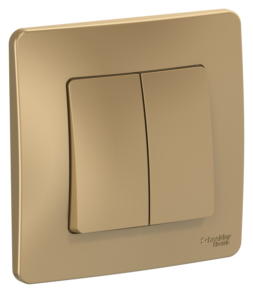 Купить Systeme Electric Blanca внутр Титан Выключатель 2-клавишный, 10А, 250B