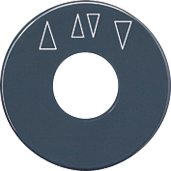 JUNG диск со шкалой, антрацит SKS1234.10