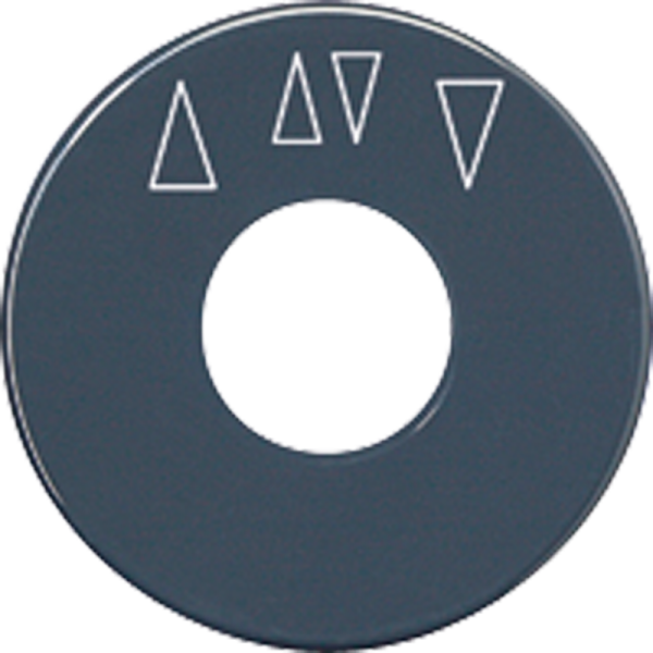 JUNG диск со шкалой, антрацит SKS1234.10