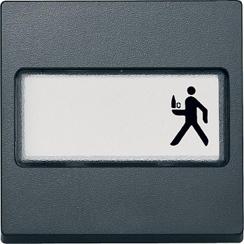 SE Merten SM Антрацит Клавиша 1-ая с полем для надписи MTN433314