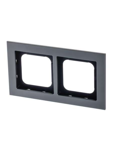 ABB Axcent металл/платина Рамка 2-постовая 2CKA001754A4689