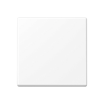 JUNG A Flow/A 550 Белый матовый Центральная плата стандарт A1700BFWWM