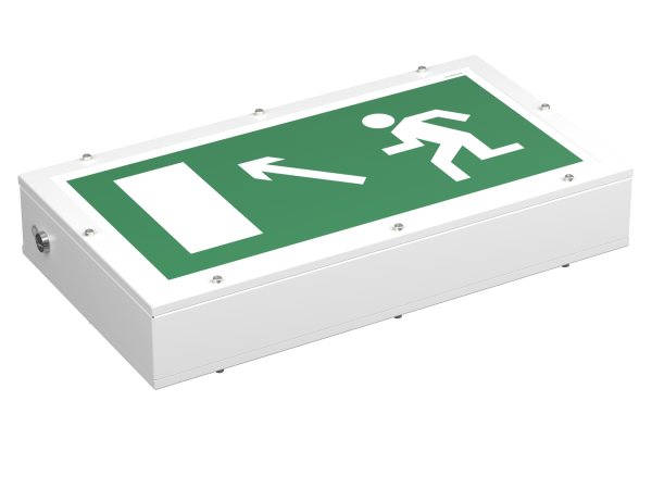 Купить Белый свет Световой указатель BS-FLAGMAN-51-S1-INEXI3 a15667