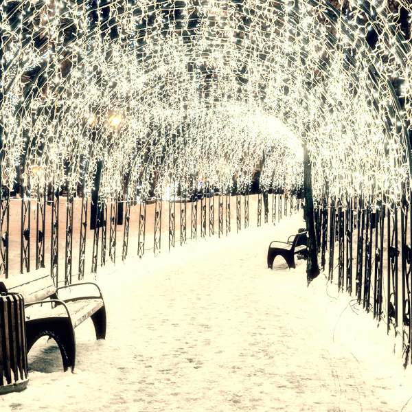 Купить Arlight Светодиодная гирлянда ARD-EDGE-CLASSIC-2400x600-CLEAR-88LED-PULSE Warm (230V, 6W) (Ardecoled, IP65) 034913