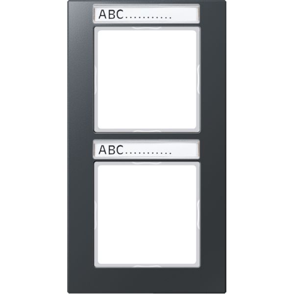 JUNG Рамка 2-кратная, матовый антрацит AC582BFNAANM