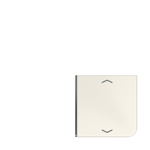 JUNG клавиша с символом для 3 и 4-клавишного пульта KNX, слоновая кость, для серии CD (верхняя левая верхняя левая и нижня правая) CD404TSAP14