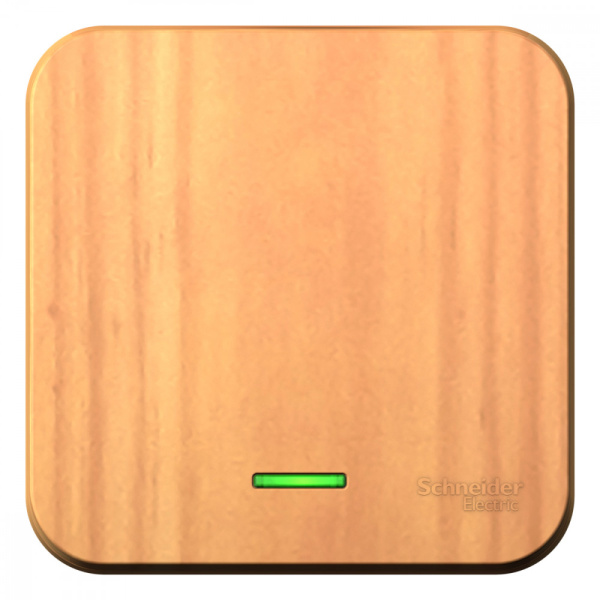 Systeme Electric Blanca наруж Ясень Выключатель 1-клавишный с подсветкой, 10А, 250B