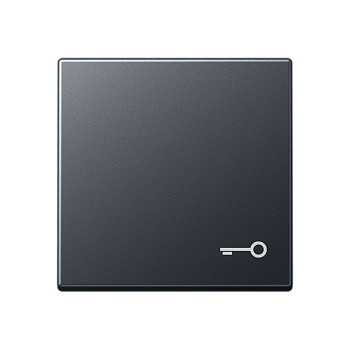 JUNG Клавиша с вимволом двери, матовый антрацит A590BFTANM