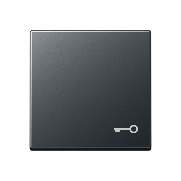JUNG Клавиша с вимволом двери, матовый антрацит A590BFTANM