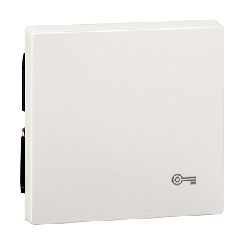 SE Merten SM Бел Клавиша с пиктограммой «ключ» MTN3303-0319