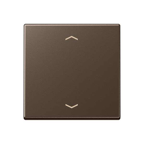 JUNG Клавиша для выключателя A590PMO