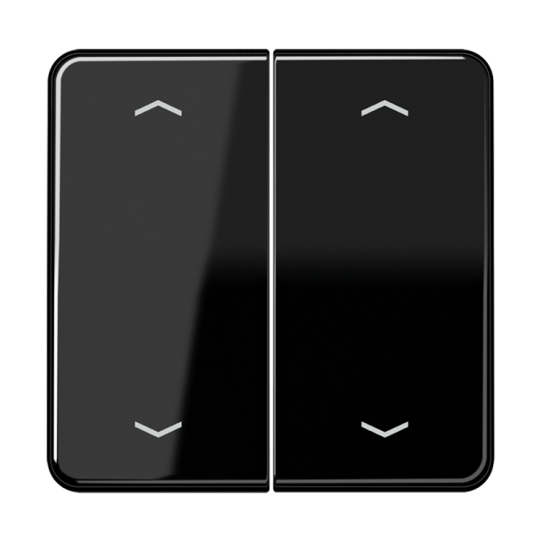 JUNG Клавиши для сдвоенной кнопки BCU черные CD595MPSW