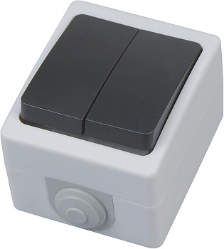 Horoz Electric 112-100-0006 10A/250V IP54 Двойной выключатель накладной ATOM (2-GANG ONE WAY SWITCH) HRZ01001528