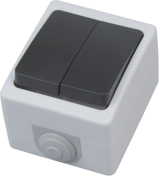 Horoz Electric 112-100-0006 10A/250V IP54 Двойной выключатель накладной ATOM (2-GANG ONE WAY SWITCH) HRZ01001528