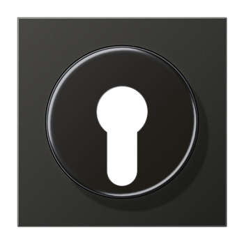 JUNG Крышка для выключателя с замком антрацит AL2928AN