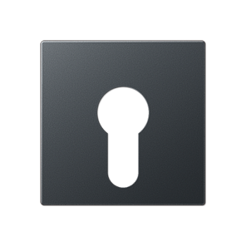 JUNG Крышка для выключателя с замком матовый антрацит A525PLANM