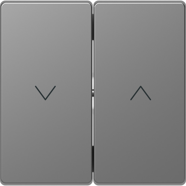 SE Merten D-Life Нержавеющая Сталь Клавиша-кнопка для жалюзи MTN3855-6036