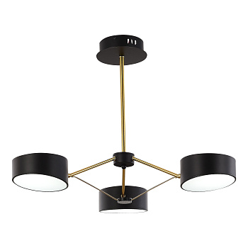 Evoluce SLE6005-402-03 Светильник потолочный Черный/Черный LED 3*10W