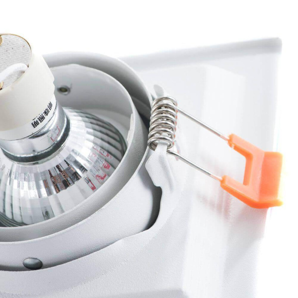 Купить Arte Lamp CANIS Потолочные светильники A6661PL-1WH