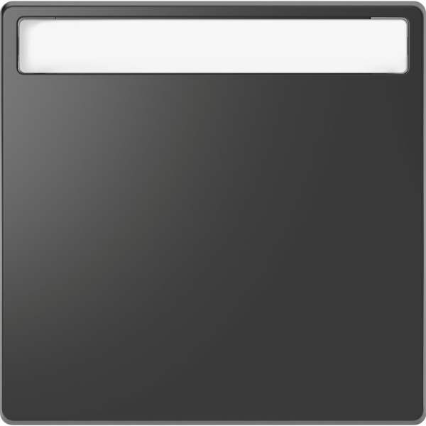 SE Merten D-Life Антрацит Клавиша 1-ая с полем д/надписи MTN3360-6034