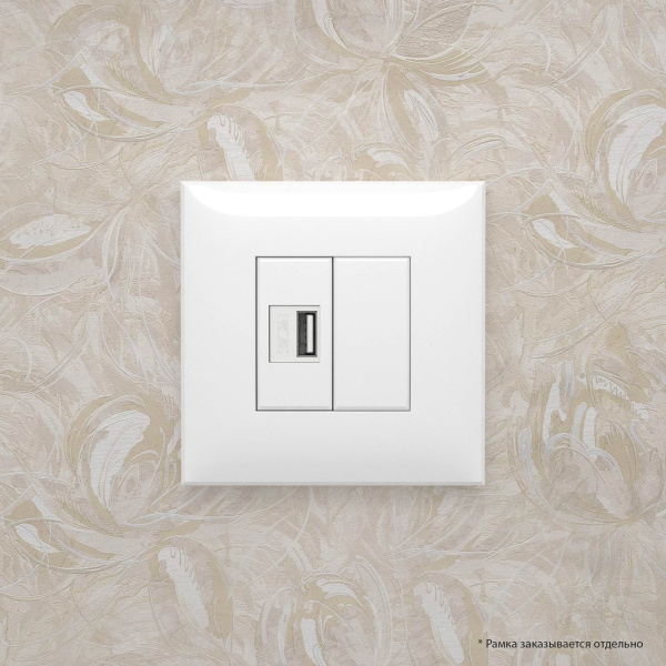 Купить DKC USB зарядное устройство в стену, "Avanti", "Белое облако"