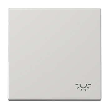 JUNG Клавиша с символом "свет", светло-серый LS990LLG