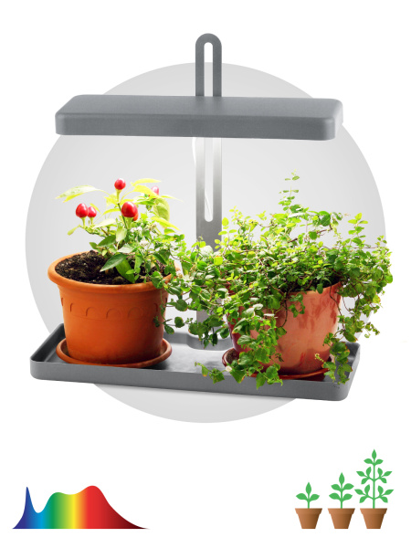 ЭРА FITO-20W-QLED-G Настольный светильник полного спектра