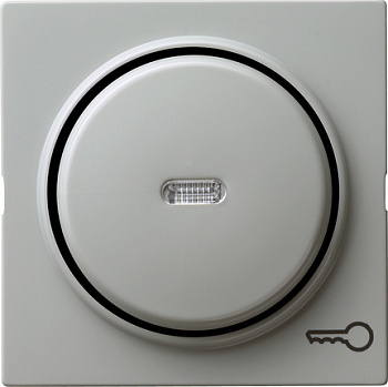 Gira Клавиша с пиктограммой "ключ" 028742