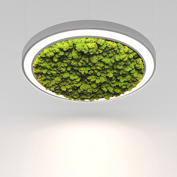 RINGI 50 MOSS S 27W 3000K Ra80 220V IP20 (1-10V) / Светильник LED, 620мм (подвесной) (Briaton) СЕРЫЙ 006S-27W3K-620GR DIM