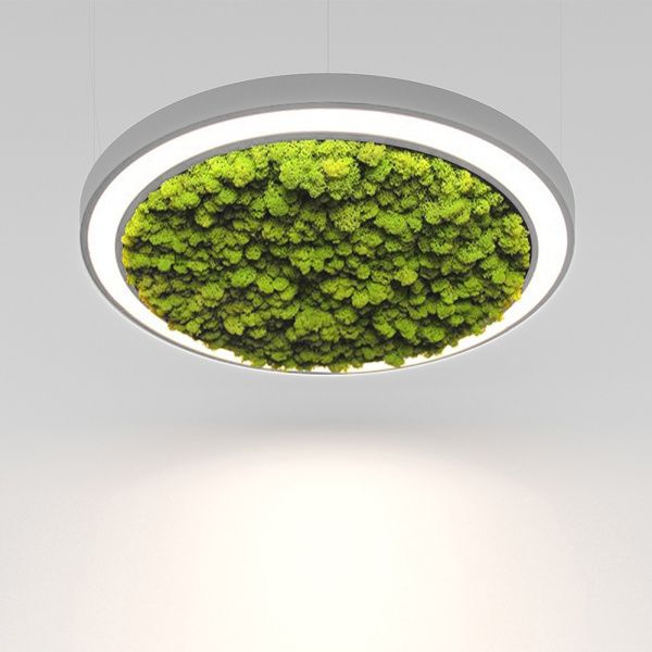 RINGI 50 MOSS S 27W 3000K Ra80 220V IP20 (1-10V) / Светильник LED, 620мм (подвесной) (Briaton) СЕРЫЙ 006S-27W3K-620GR DIM