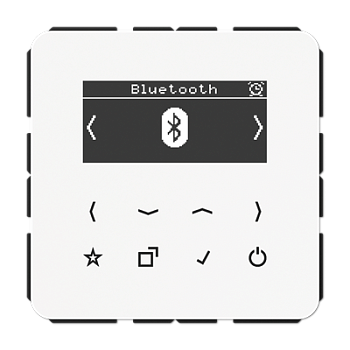 JUNG Цифровое радио DAB + с поддержкой Bluetooth, белый DABCDBTWW
