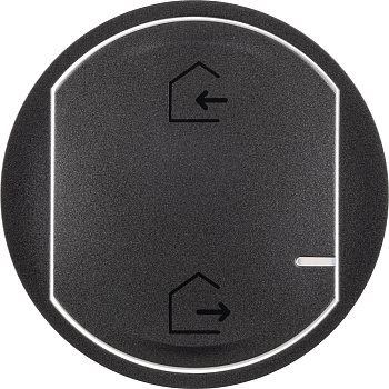 Legrand NETATMO Celiane Грифель Глав.выключатель "дома/вне дома" беспроводной 064832