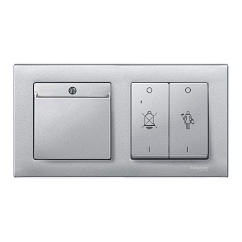 SE Merten SM M-Plan Алюминий Рамка 2-ая MTN486260