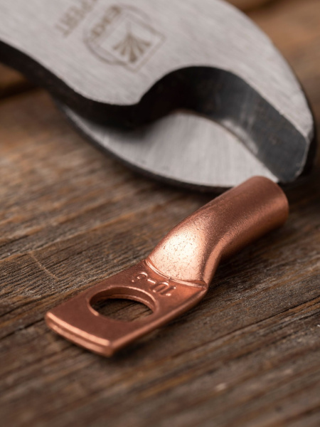 Купить EKF PROxima Наконечник медный ТМ 10-8-5