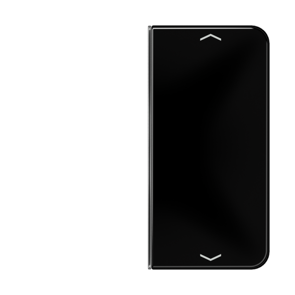 JUNG клавиша с символом для 2-клавишного пульта KNX, чёрная, для серии CD CD402TSAPSW