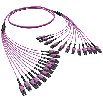 DKC Оптическая разветвительная сборка 24ОВ 50/125 OM4, 12хLC Duplex Uniboot/12хLC Duplex Uniboot, 10м