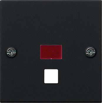 Gira Накладка для шнурового выключателя 0638005