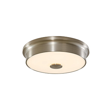 Citilux CL706221 Фостер-2 Хром Мат. Светильник Наст.-Потол